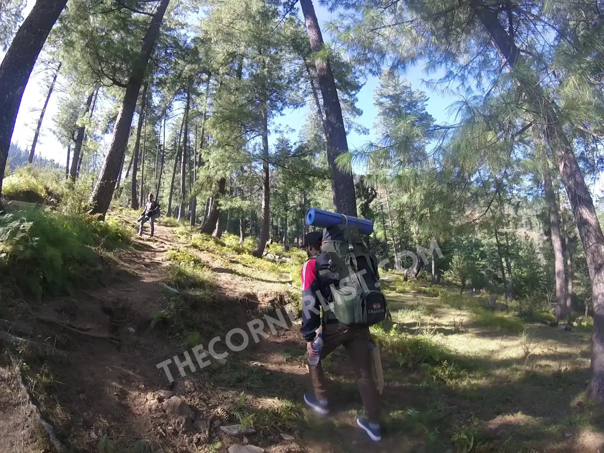 Kedarkantha Trek Route