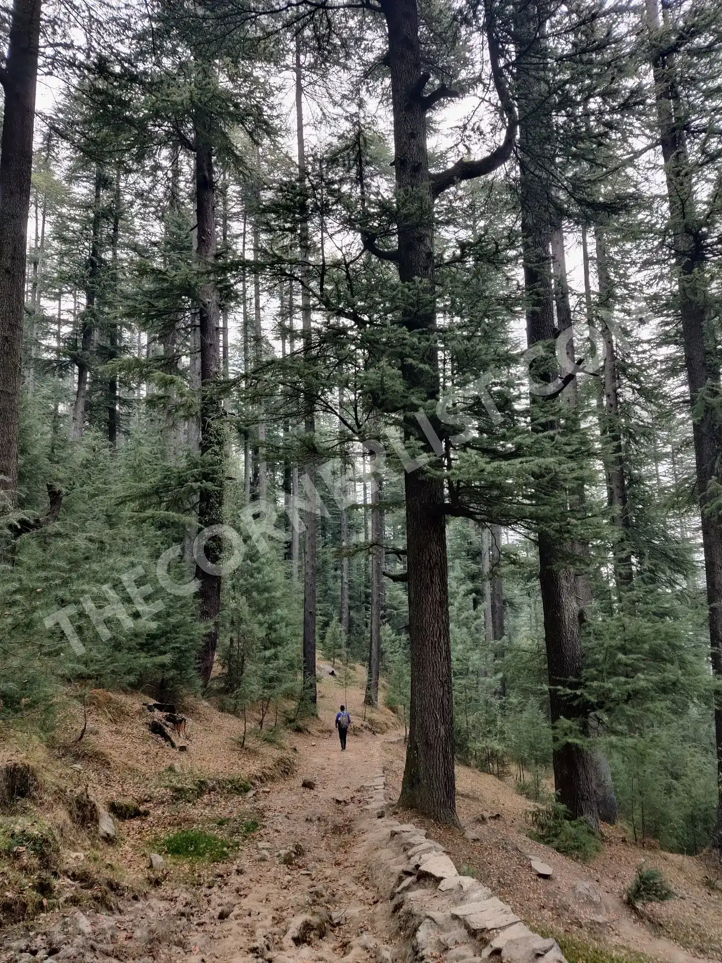 Lamadugh Trek Starting Point