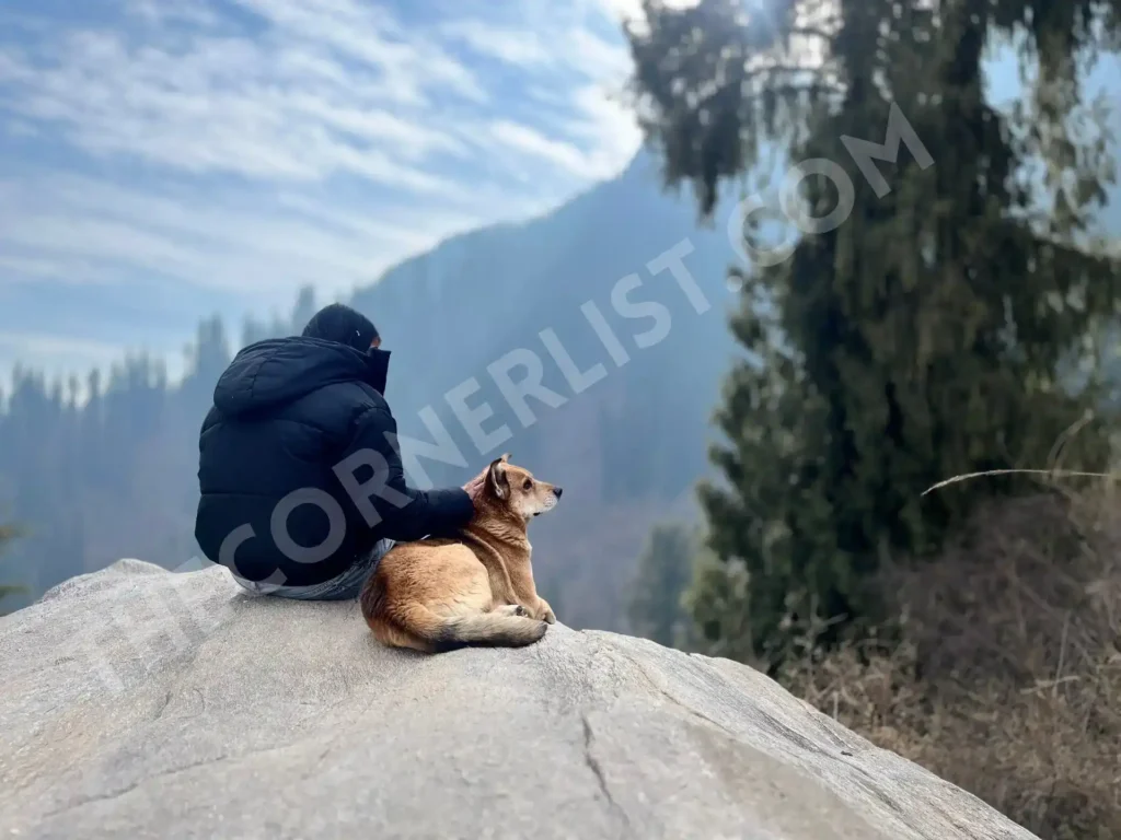 Lamadugh-Trek-Top-View