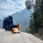 Lamadugh-Trek-Top-View