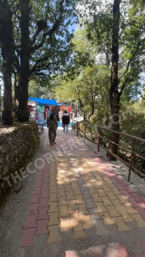 Forest pathway to Surkanda Devi Temple