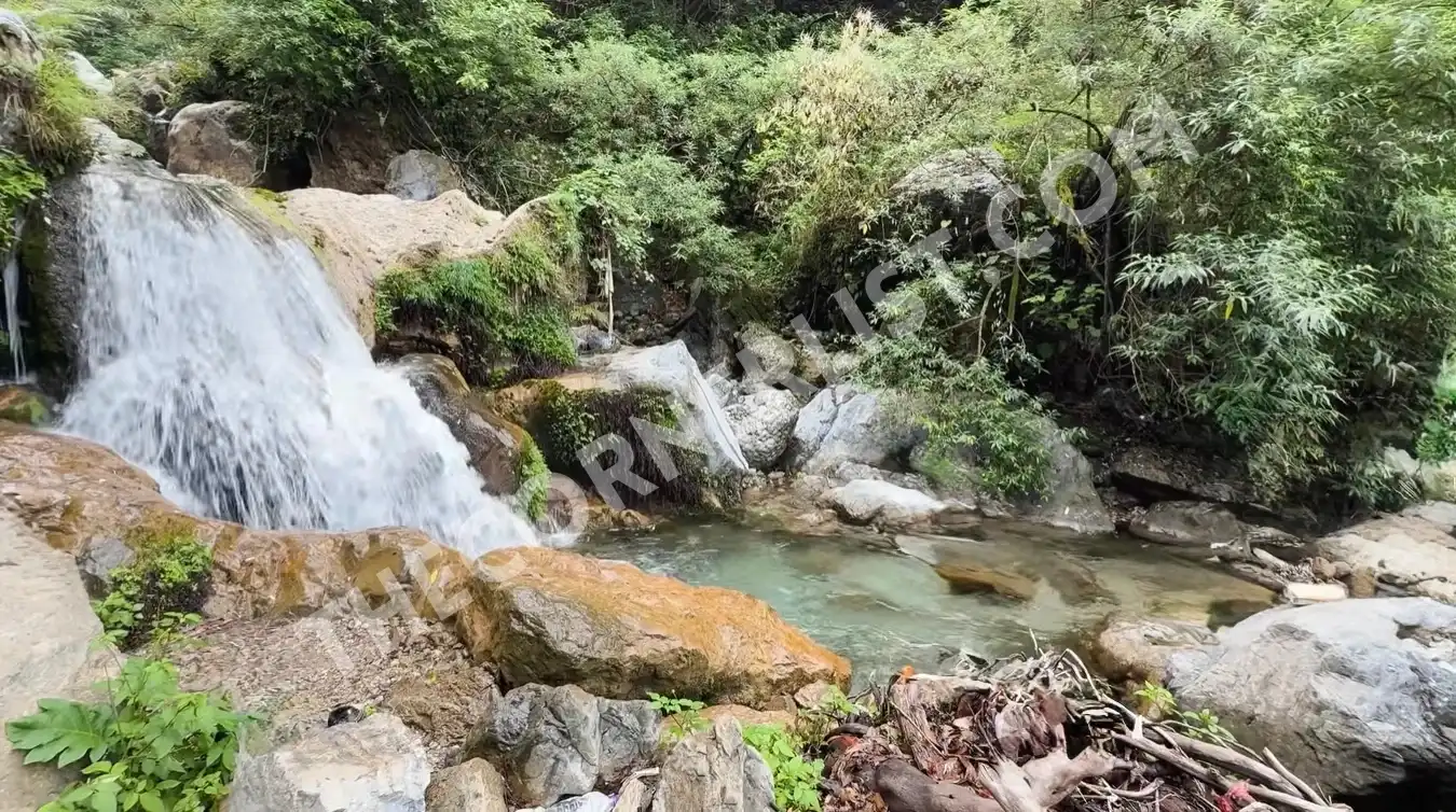 Kimadi Waterfall Mussoorie