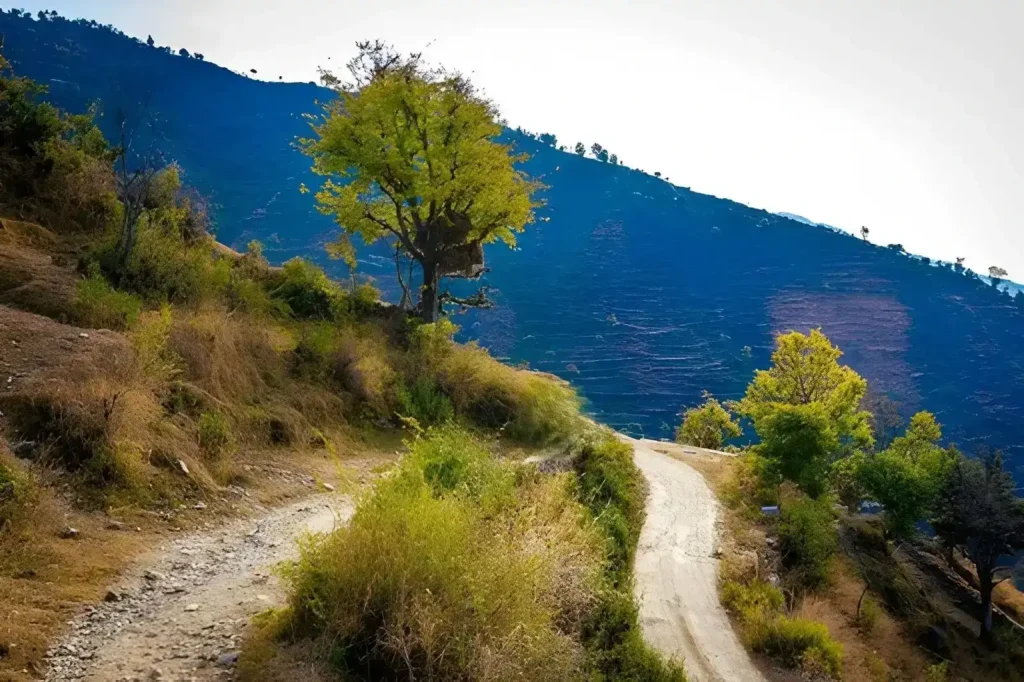 Nag Tibaa Trekking Trail near Pantwari Village