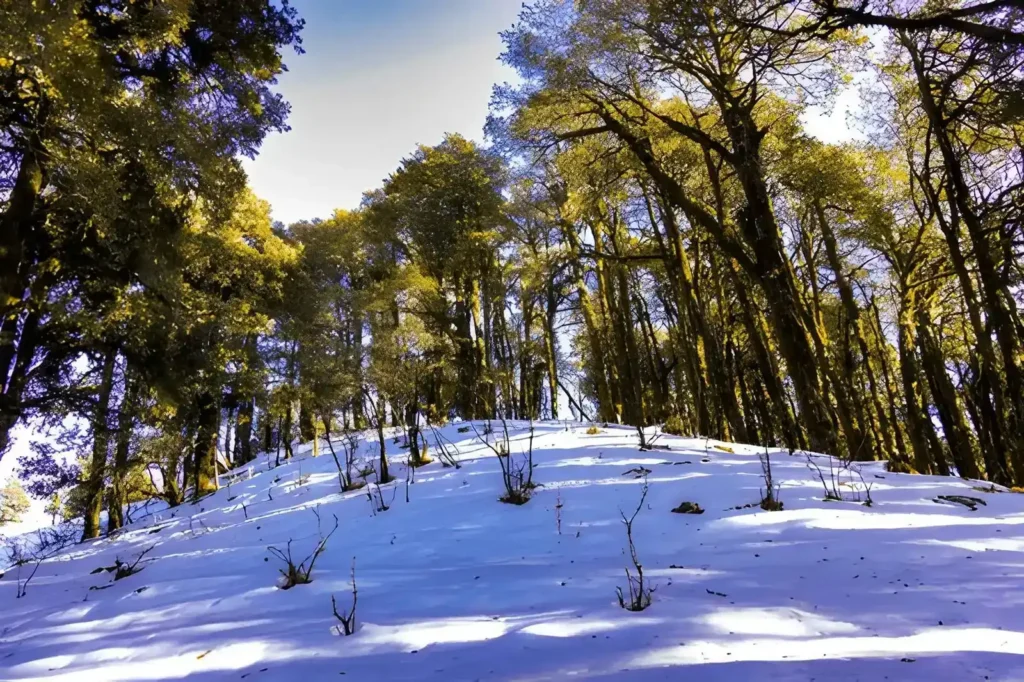 Nag Tibba Winter Trek