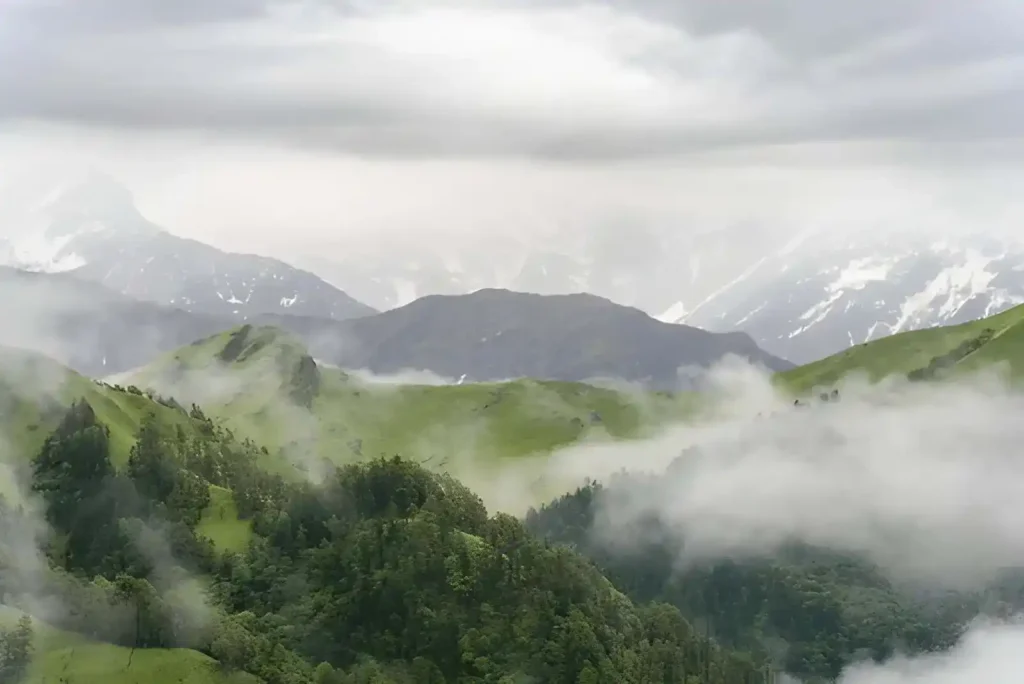 Ali Bedni Bugyal Chamoli  in Winters