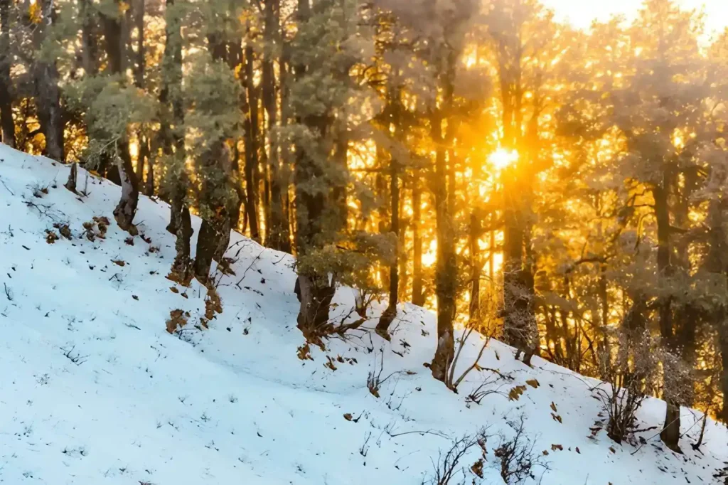 Nag Tibba Trek Trail in winter snowfall